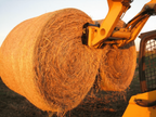 SKID STEER TWIN BALE SPEAR CL FABRICATION